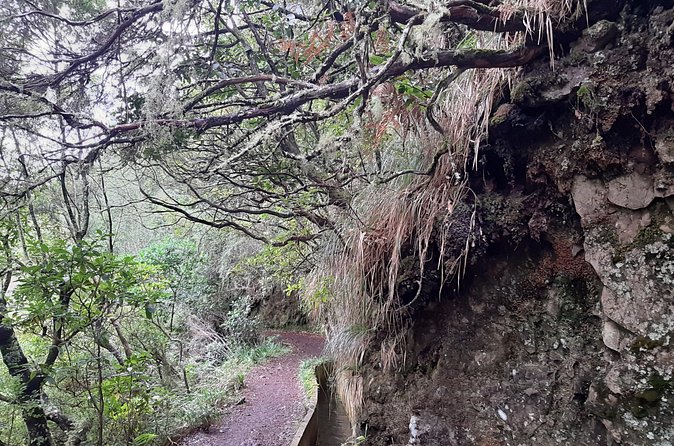 Madeira: Private Guided Tour to Ribeiro Frio and Chão das Feiteiras - Who Should Book This Madeira Private Hike