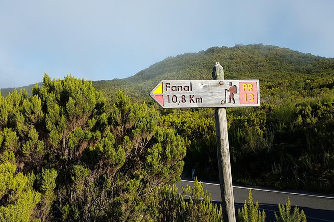 Madeira: Private Guided Walk Vereda Fanal PR13 - Quick hits on Vereda Fanal PR13