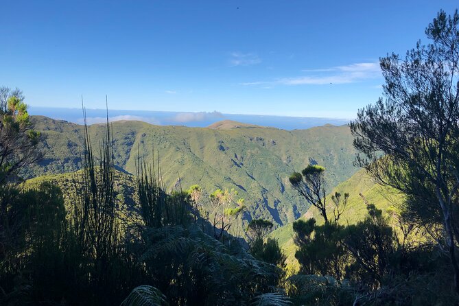 Madeira: Private Guided Walk Vereda Fanal PR13 - Why Paul da Serra and PR13 feel different from a typical Madeira hike
