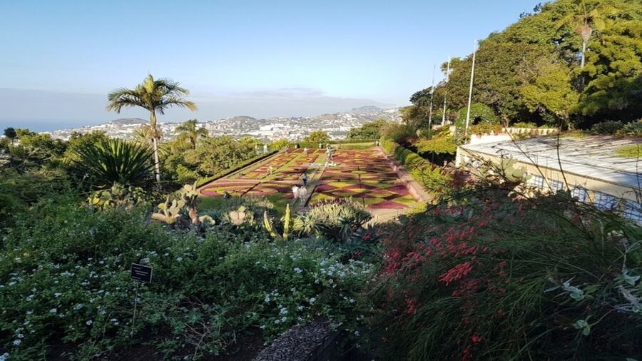 Madeira: Private Half-Day Guided Gardens Tour - Key points at a glance