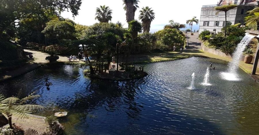 Madeira: Private Half-Day Guided Gardens Tour - Starting at the Funchal cruise port, then straight into the gardens