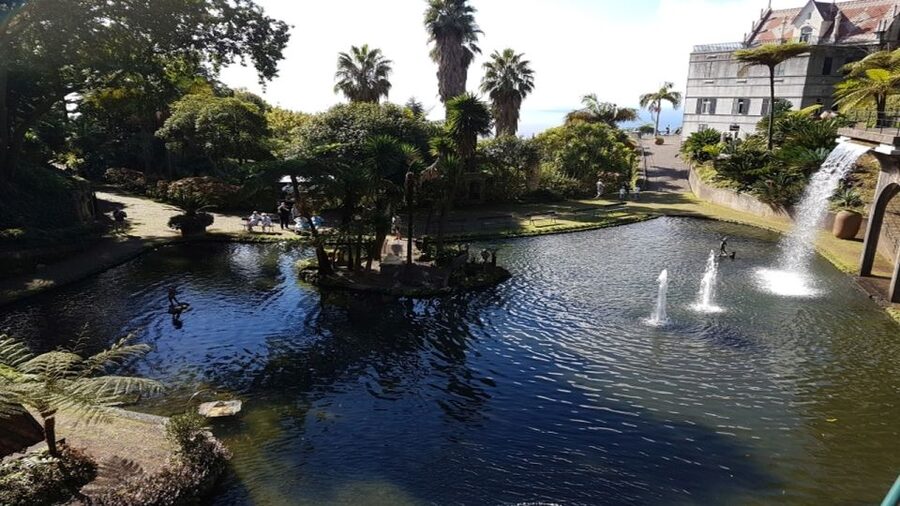 Madeira: Private Half-Day Guided Gardens Tour - The garden lake and the free-roaming wow moments