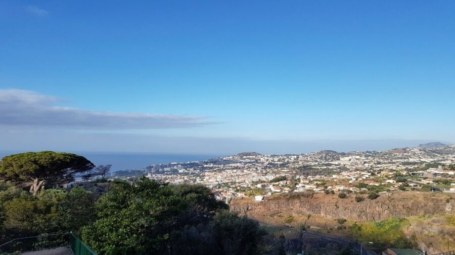 Madeira: Private Half-Day Guided Gardens Tour - The Monte Palace mineral and gem collection, plus a smart break