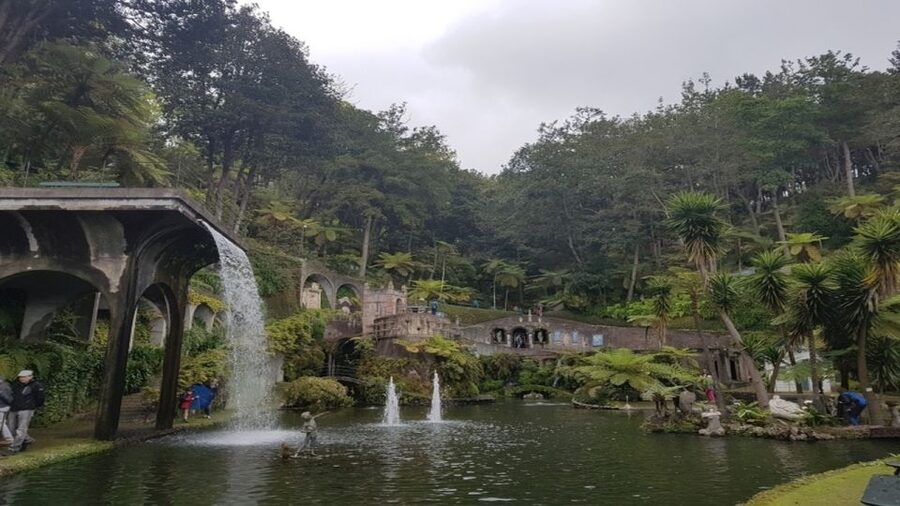 Madeira: Private Half-Day Guided Gardens Tour - Price and value: what $129 per person buys you in 4 hours