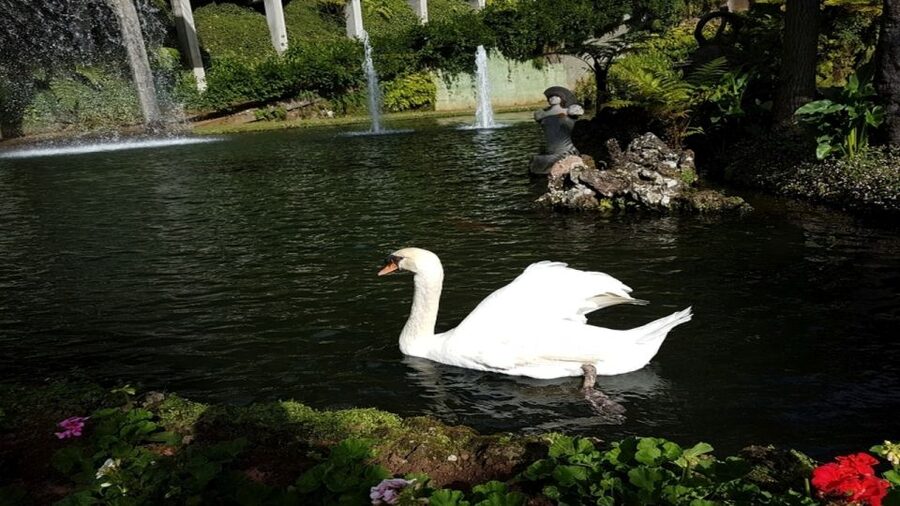 Madeira: Private Half-Day Guided Gardens Tour - Monte Palace Tropical Garden: 70,000 square meters of plant wonder
