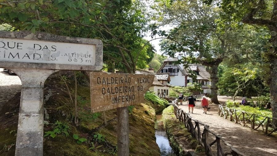 Madeira: Private Half-Day North East Island Tour - Old roads to Vigia and Cabanas: the drive becomes part of the show