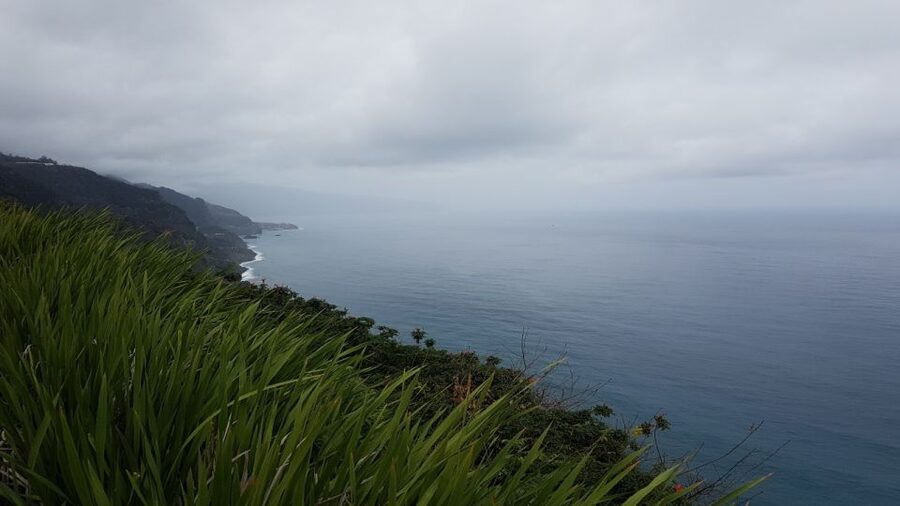 Madeira: Private Half-Day North East Island Tour - What to bring, and how to handle rain or shine