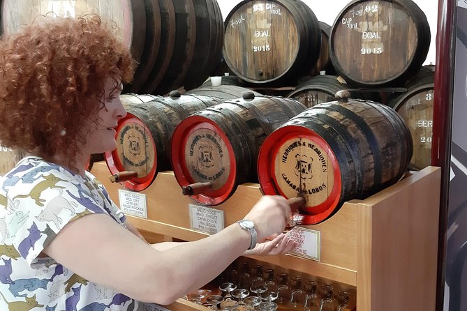 Madeira: Private Half-Day Wine Tasting Tour - Where the day starts: pickup that keeps things smooth