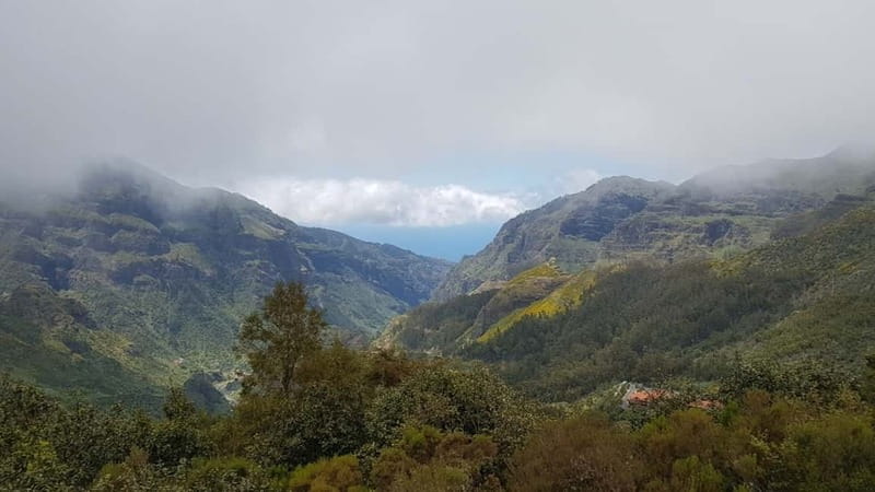Madeira: Private Laurisilva Tour - Languages, Group Style, and How to Get the Most Out of It