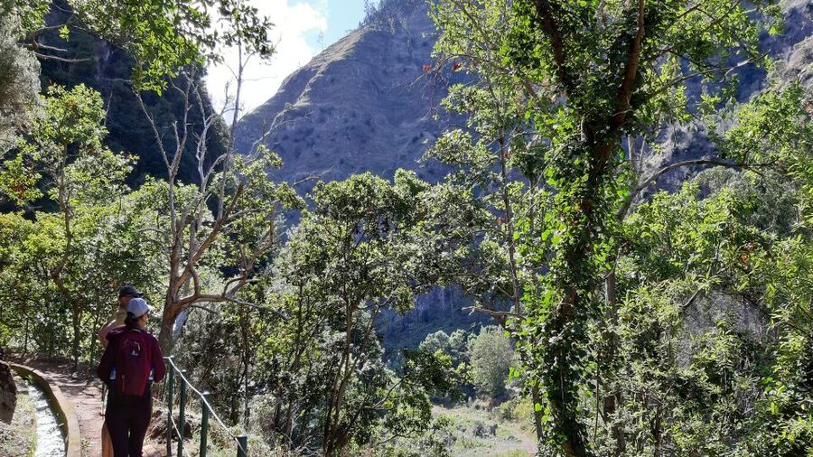 Madeira: Private Moinhos Levada Nova Walk Ponta do Sol - The Safety Reality on Levada Nova: Where You Need a Steady Head