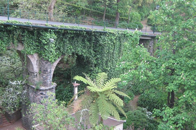 Madeira: Private Monte Tour By Cable Car with Transfer - Riding up: what the cable car adds to your Monte day