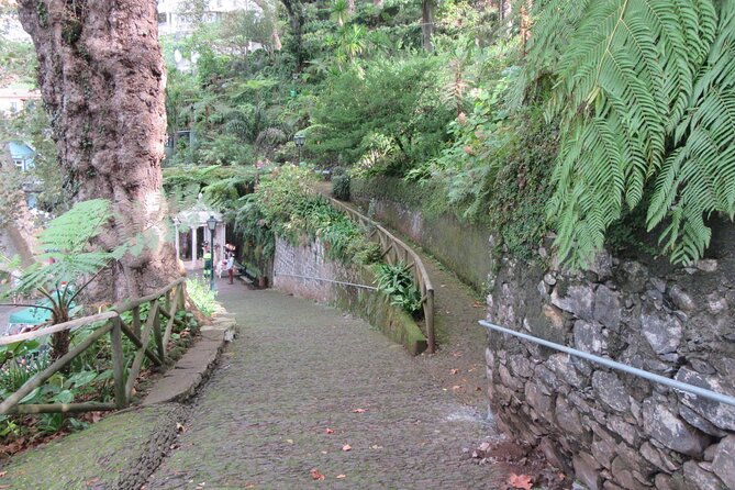Madeira: Private Monte Tour By Cable Car with Transfer - Monte parish and the historic sites: what you should look for