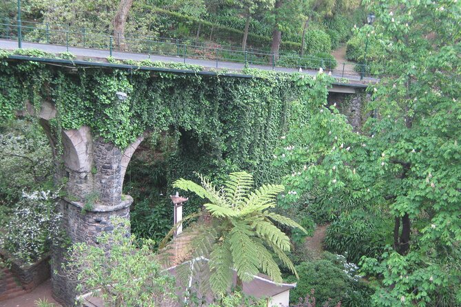 Madeira: Private Monte Tour By Cable Car with Transfer - Public gardens: how much time to give them