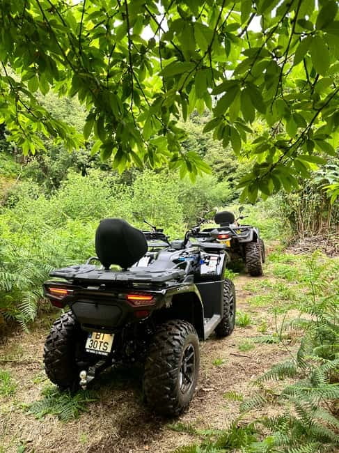Madeira:Private Mountain Quad Adventure–Explore Wild Madeira - Price and Value: $165 for Up to Two People