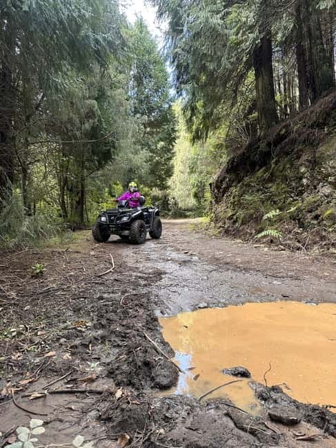 Madeira:Private Mountain Quad Adventure–Explore Wild Madeira - Riding Through the UNESCO Laurel Forest, Madeira Style
