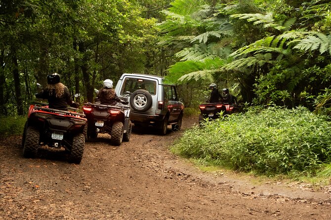 Madeira Private Off-road Quad Bike Experience - The Route Starts in Real Madeira, With Portela in Your Path