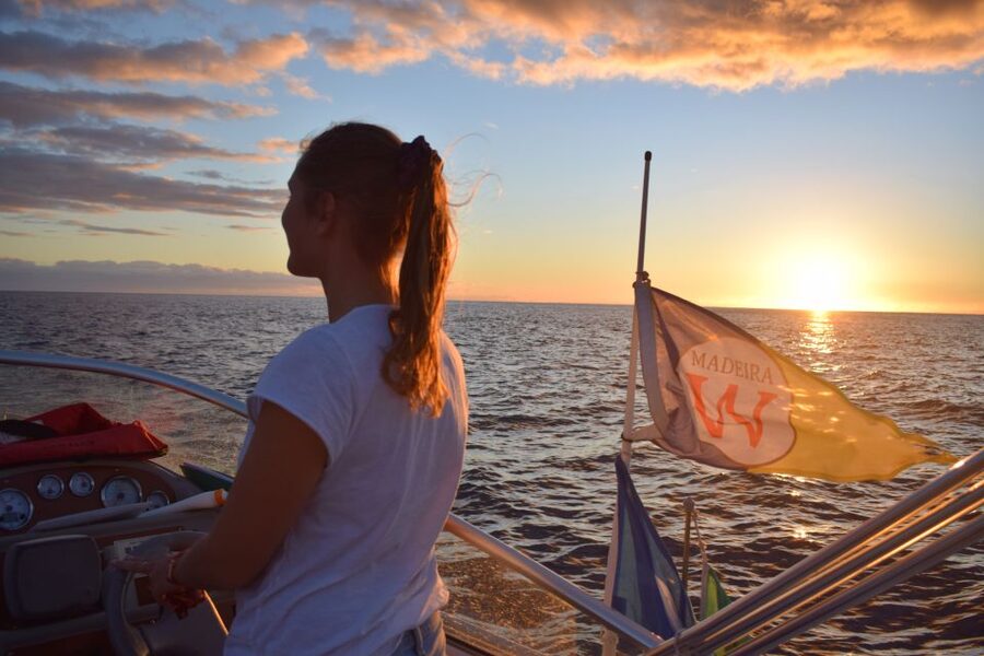 Madeira: Private Sunset Yacht Cruise with Snorkeling & Wine - Snorkeling on Madeira’s Coast: Rock Formations and Silver Fish