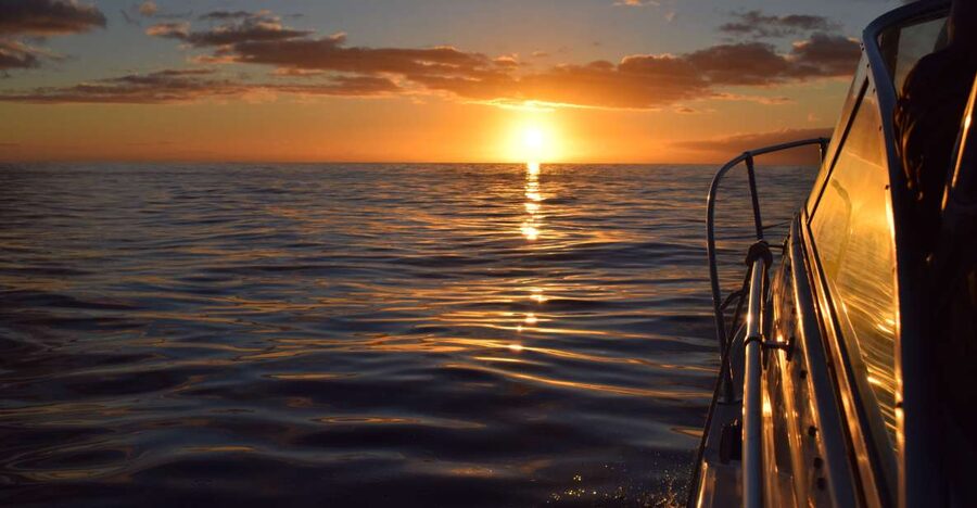 Madeira: Private Sunset Yacht Cruise with Snorkeling & Wine - Daytime Versus Evening Sunset: Choosing the Right 2 to 2.5 Hours