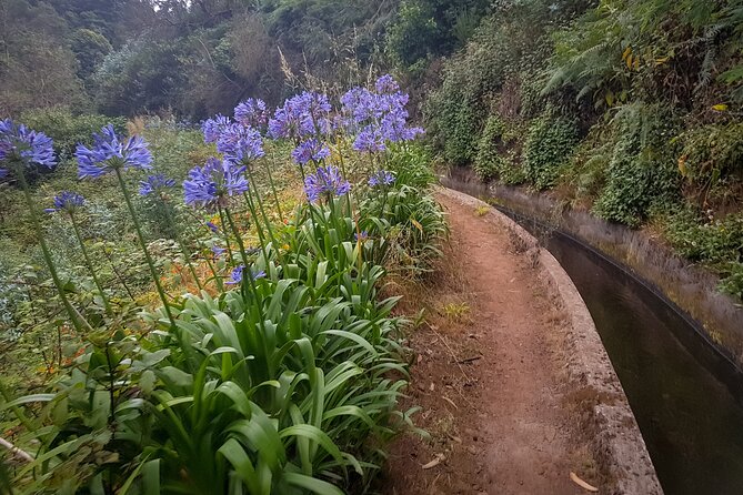 Madeira Private Tour of Hortensias Gardens Tea House - What kind of traveler should book this?