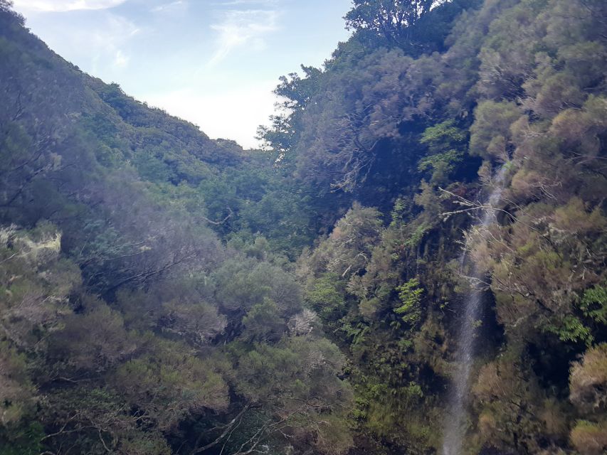 Madeira: Private Walking Tour of Levada das 25 Fontes PR6 - Key Points You’ll Care About