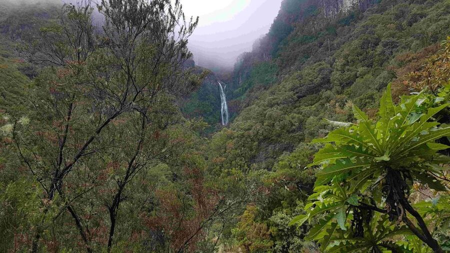 Madeira: Private Walking Tour of Levada das 25 Fontes PR6 - Rabaçal to the 25 Fontes Finish: Waterfall Payoff and Viewpoints