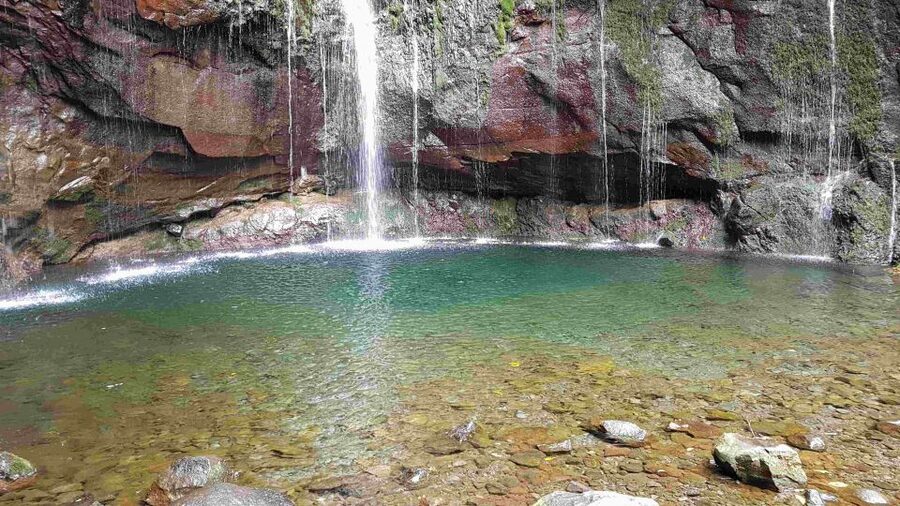 Madeira: Private Walking Tour of Levada das 25 Fontes PR6 - The Laurisilva Experience, Plus the History Piece