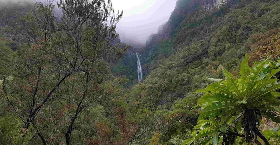 Madeira: Private Walking Tour of Levada das 25 Fontes PR6 - The Timing, Duration, and Pace of a 5 to 6 Hour Walk