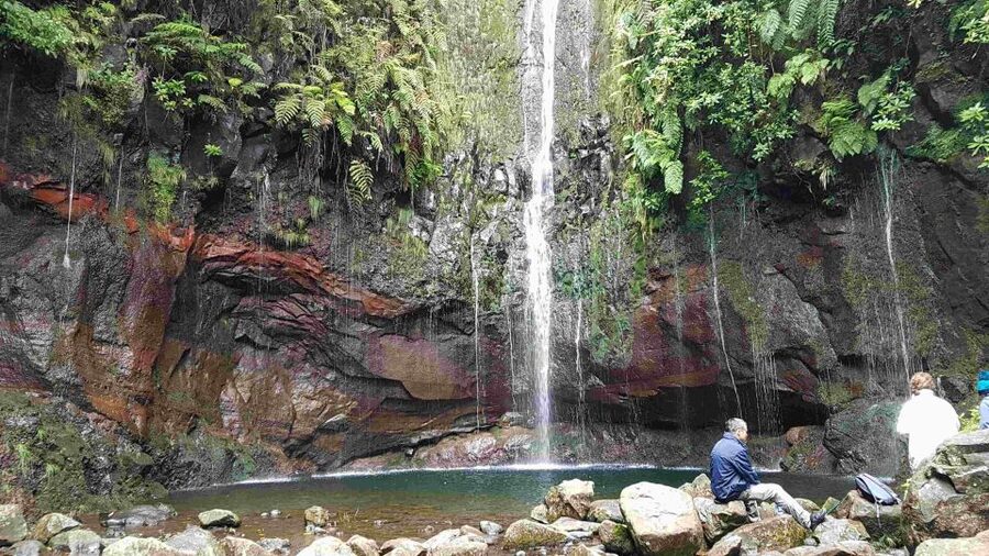 Madeira: Private Walking Tour of Levada das 25 Fontes PR6 - Who This Tour Fits Best (And Who Should Skip It)