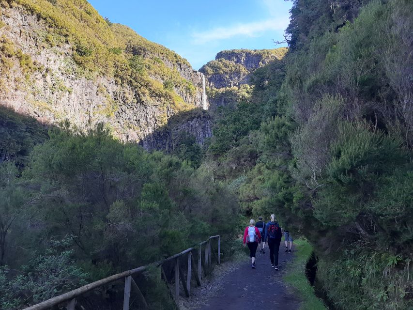 Madeira: Private Walking Tour of Levada das 25 Fontes PR6 - The Levada Trail Through Native Forest, What to Expect Up Close