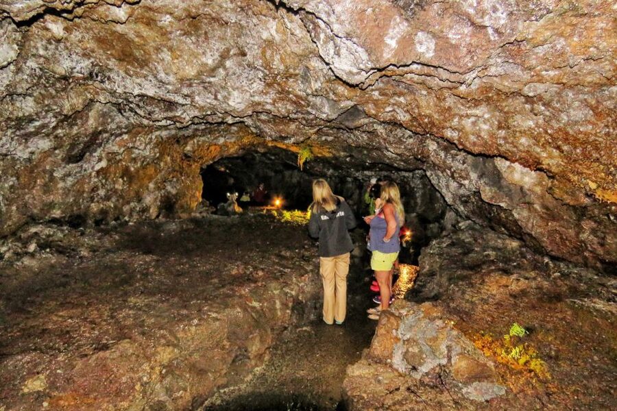 Madeira : Private wine experience by 4WD - Should you book this Madeira 4x4 wine experience?
