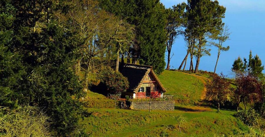 Madeira: Queimadas, Caldeirão Verde and Levada Walk - Key highlights you will feel right away