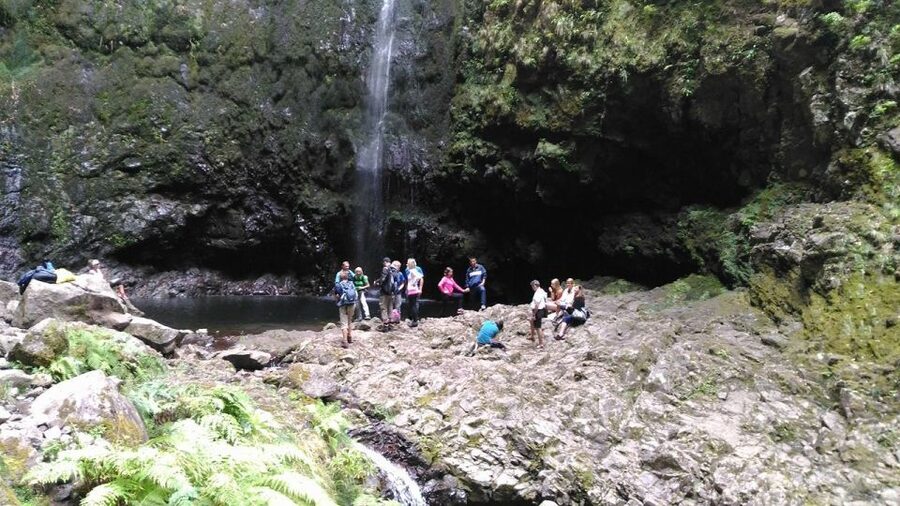 Madeira: Queimadas, Caldeirão Verde and Levada Walk - Should You Book This Madeira Levada Walk?