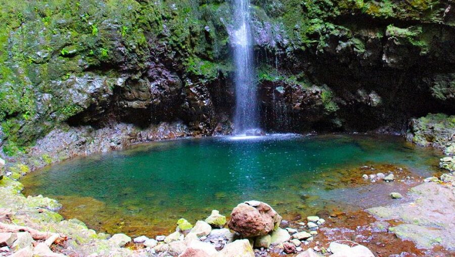 Madeira: Queimadas, Caldeirão Verde and Levada Walk - The Big Reason This Hike Works: Caldeirão Verde After Levada Walking