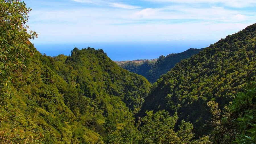 Madeira: Queimadas, Caldeirão Verde and Levada Walk - Levada da Serra de São Jorge: Views Early, Then Water and Tunnels