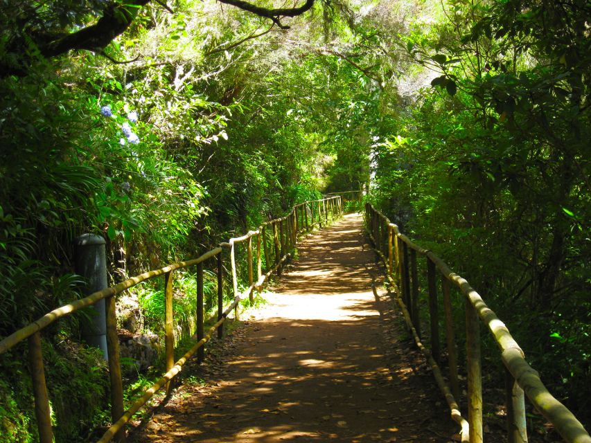 Madeira: Queimadas, Caldeirão Verde and Levada Walk - A Guide Like Charlotte Turns the Walk Into a Learning Day