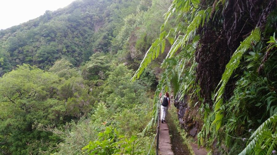 Madeira: Queimadas, Caldeirão Verde and Levada Walk - What to Bring: Wet Trails, Dense Shoes, and Real Snacks