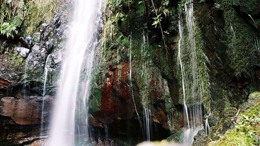 Madeira Rabaçal: Lakes & Fountains Nature Walk - Key highlights to know before you go