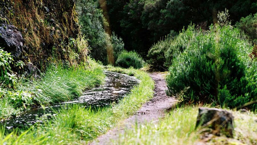 Madeira Rabaçal: Lakes & Fountains Nature Walk - The emerald lake moment: 25 natural springs and cliff-framed views