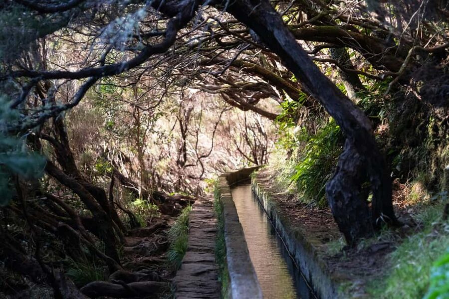 Madeira Rabaçal: Lakes & Fountains Nature Walk - Timing, group feel, and how the day actually moves