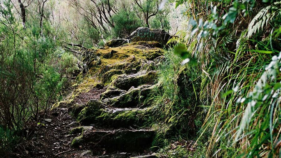 Madeira Rabaçal: Lakes & Fountains Nature Walk - Who this tour suits best, and who should skip it
