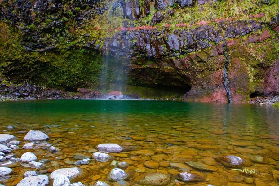Madeira: Rabaçal Private Guided Walking Tour with Guide - Why Rabaçal and the Laurisilva Forest work so well for a guided walk