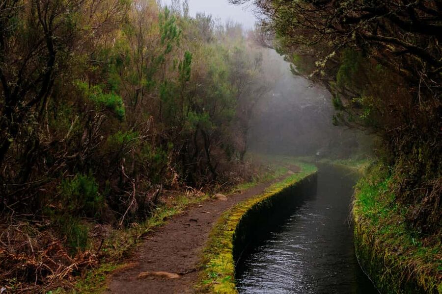 Madeira: Rabaçal Private Guided Walking Tour with Guide - How the guide turns scenery into meaning (and why Roberto’s style matters)