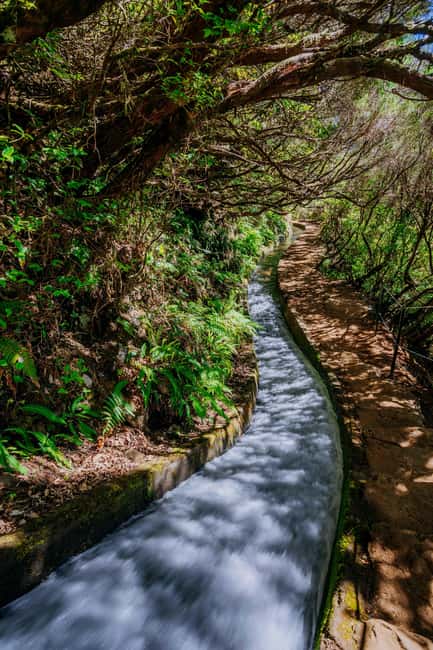 Madeira: Rabaçal Private Guided Walking Tour with Guide - Laurisilva Forest UNESCO time: how to experience it without rushing