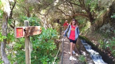 Rabaçal, Risco and 25 Fontes Guided Hiking Tour