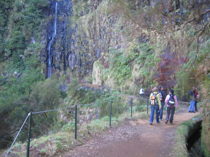 Madeira: Rabaçal, Risco and 25 Fontes Guided Hiking Tour - Levada Nova do Rabaçal: plants, high-altitude views, and steady walking
