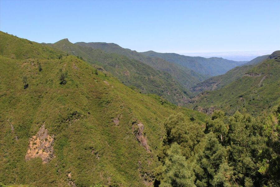 Madeira: Rabaçal, Risco and 25 Fontes Guided Hiking Tour - Cavaleiro tunnel: the cool, practical return to the south coast