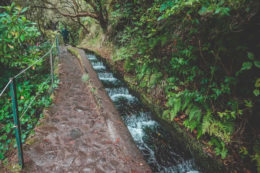Madeira: Rabaçal Valley and the 25 Fountains Hike - Key Things You’ll Notice on This Rabacal Hike