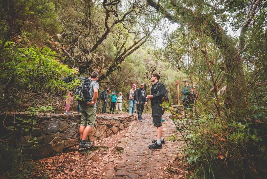 Madeira: Rabaçal Valley and the 25 Fountains Hike - Where Rabacal’s Green Feel Comes From (And Why It Matters)
