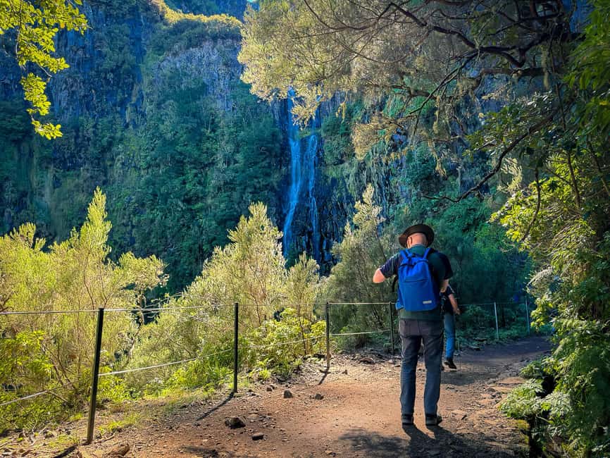 Madeira: Rabaçal Valley and the 25 Fountains Hike - Entering Laurisilva: What the Walk Feels Like Under the Canopy