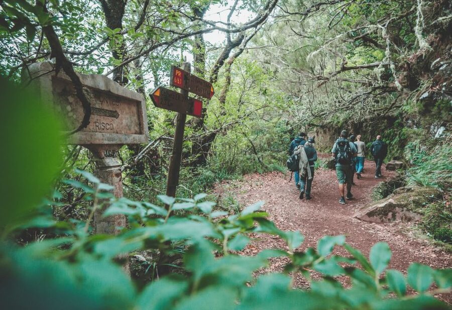 Madeira: Rabaçal Valley and the 25 Fountains Hike - The Risco Waterfall Detour: A Side Walk That Becomes a Main Event
